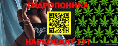 сатива Кумертау